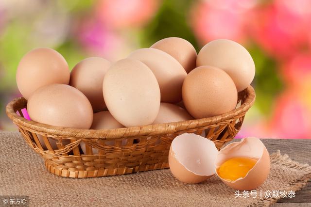 全国鸡蛋行情更新与隐藏小巷特色小店探秘纪实