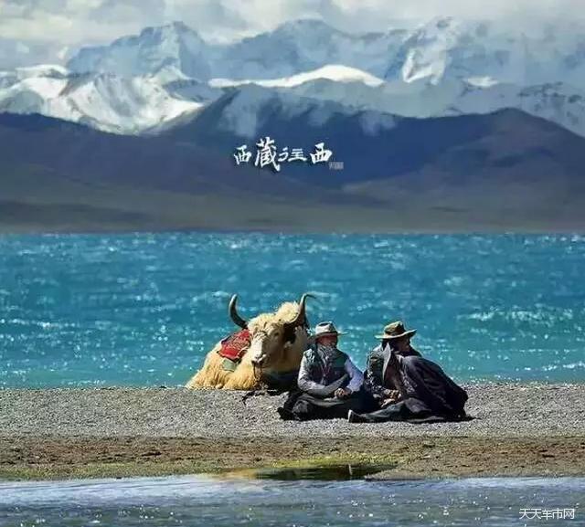 最新音乐发行，自然美景的心灵之旅已启程！