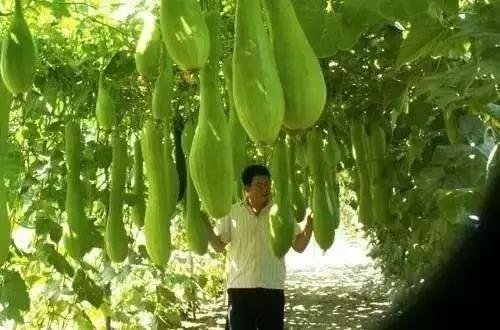 农场游戏最新活动攻略大全，玩转农场，收获满满！