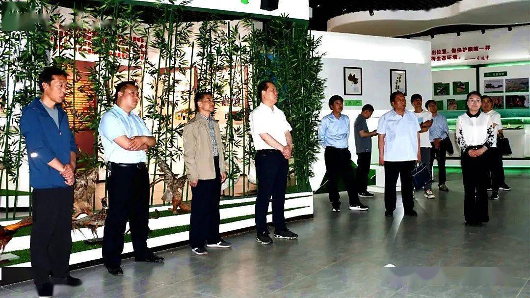 台州最新新闻，城市温情中的友情小确幸