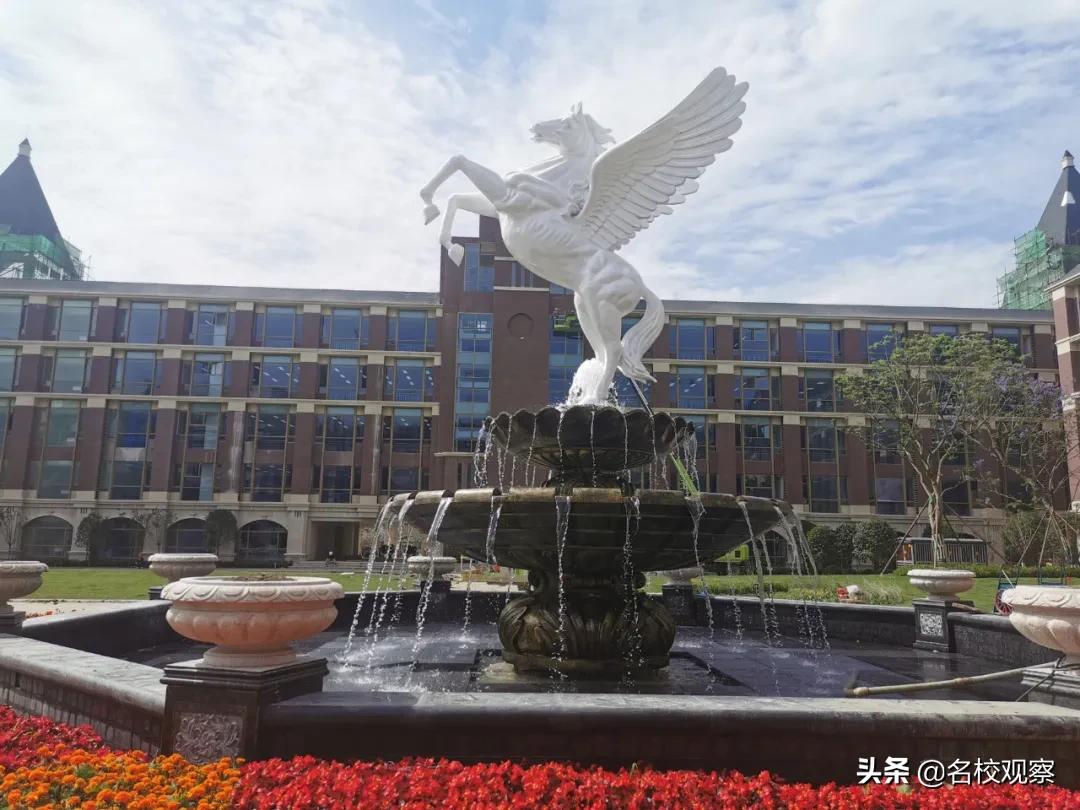最新变队形广场舞，舞动自信，拥抱变化的力量之美