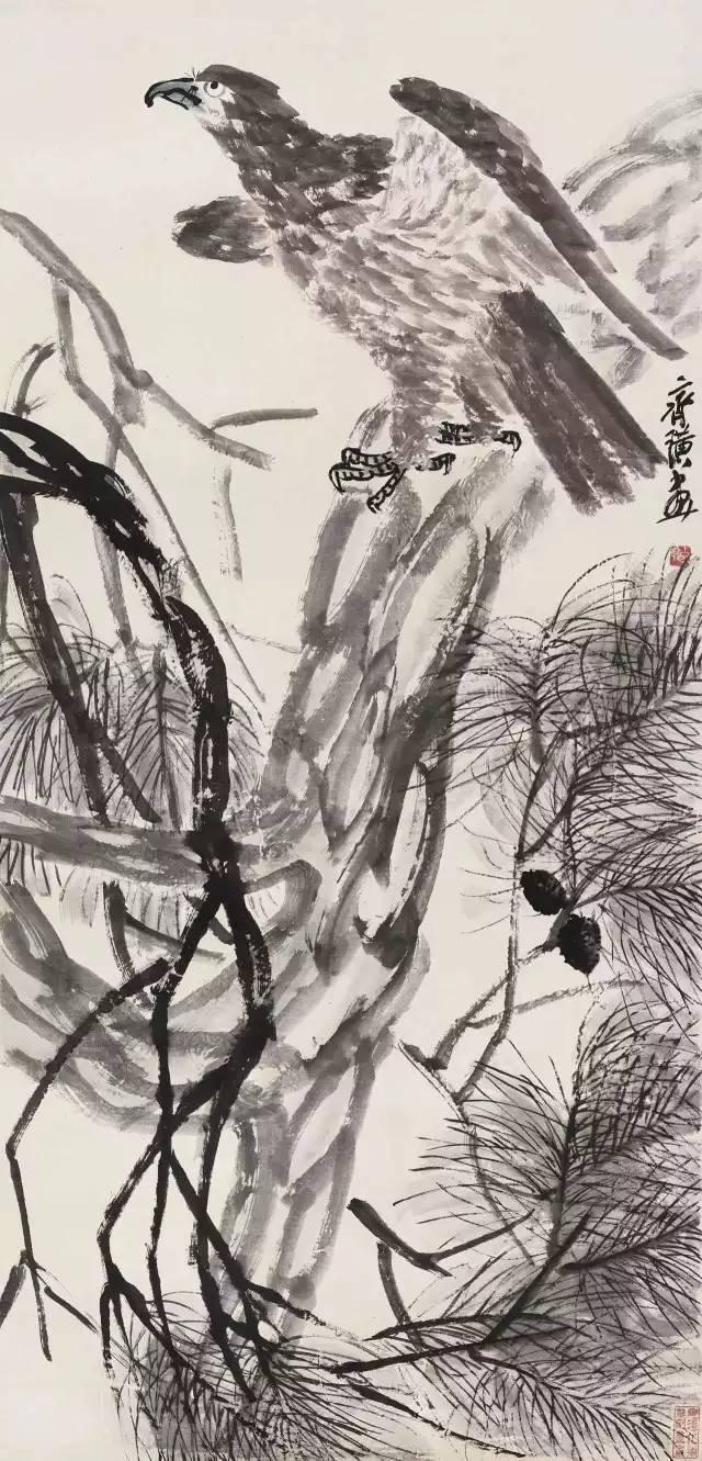 最新流出视频，自然美景之旅，探寻内心的平和与喜悦