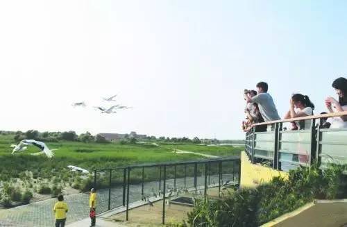 齐河最新案件，自然美景背后的探索之旅