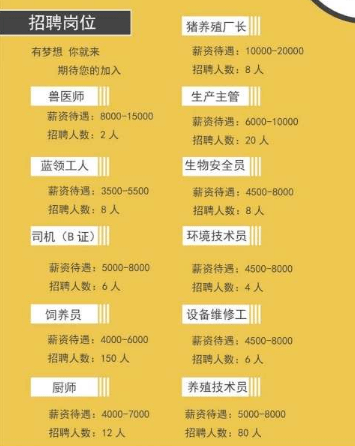陵县最新招聘信息概览，求职者的必读指南