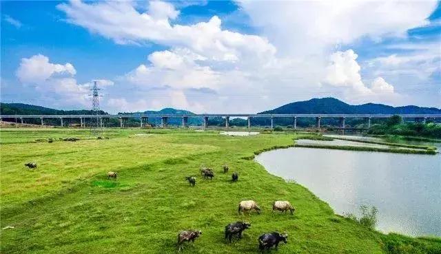 广西高速公路最新动态，消息及其影响深度解析