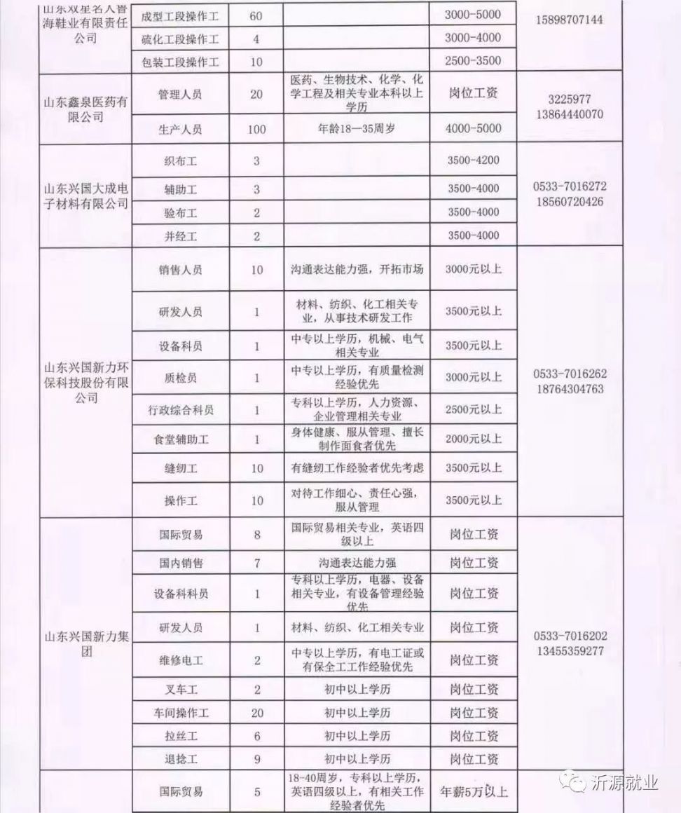 利津最新招聘，小巷深处的职业机遇等你来探索！