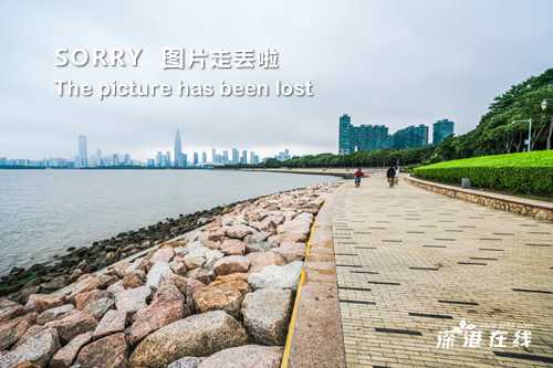 深圳台风玛娃最新动态，逆风中的前行，学习变化带来的自信与成就感