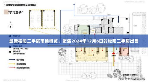 最新松阳二手房出售信息✨房源更新🏠